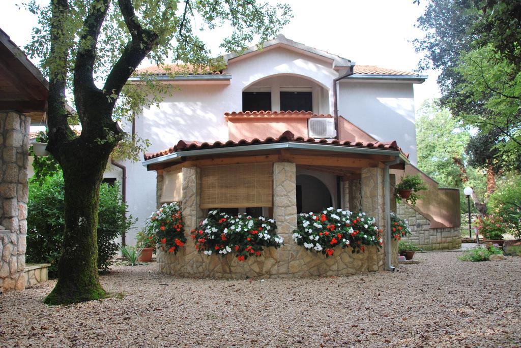 Barbara * Pinezići