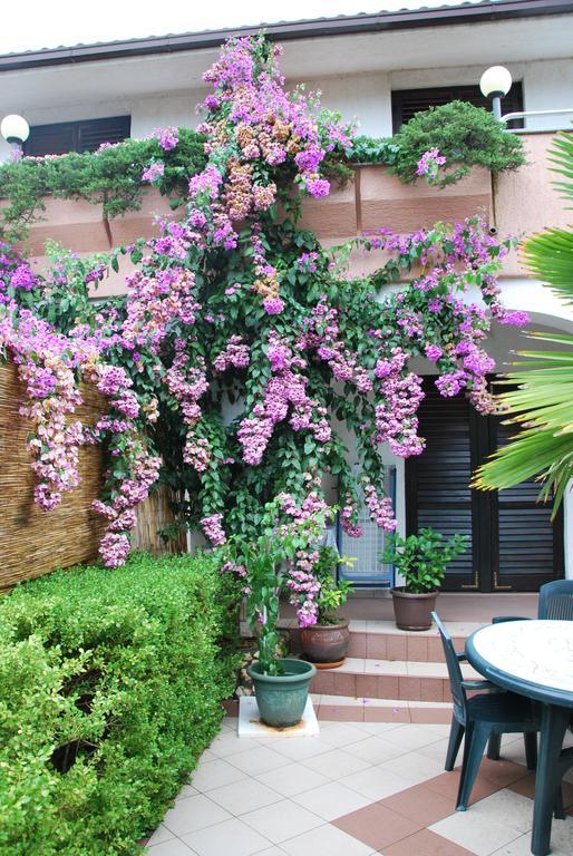 Barbara Apartment Pinezici (Krk)